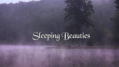 sleeping beauties 2017|Sleeping Beauties (2017)